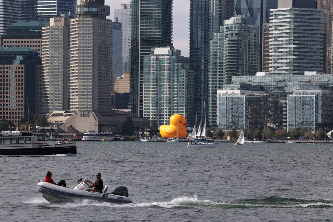 Kente gelen turistler, onu görünce gözlerine inanamadı! Parmakla gösterip endişeyle baktılar 5
